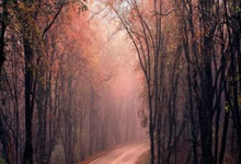 意天空：若拉斯帕多里离队，那不勒斯考虑引进矿工边锋凯文