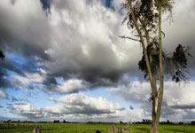 强劲对手碰撞，全力以赴争夺胜利