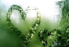 遭遇重伤！罗马诺：热刺中场麦迪逊预计伤缺6-7个月！，罗马vs热刺