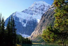 遭遇重伤！罗马诺：热刺中场麦迪逊预计伤缺6-7个月！，罗马vs热刺