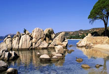 遭遇重伤！罗马诺：热刺中场麦迪逊预计伤缺6-7个月！，罗马vs热刺