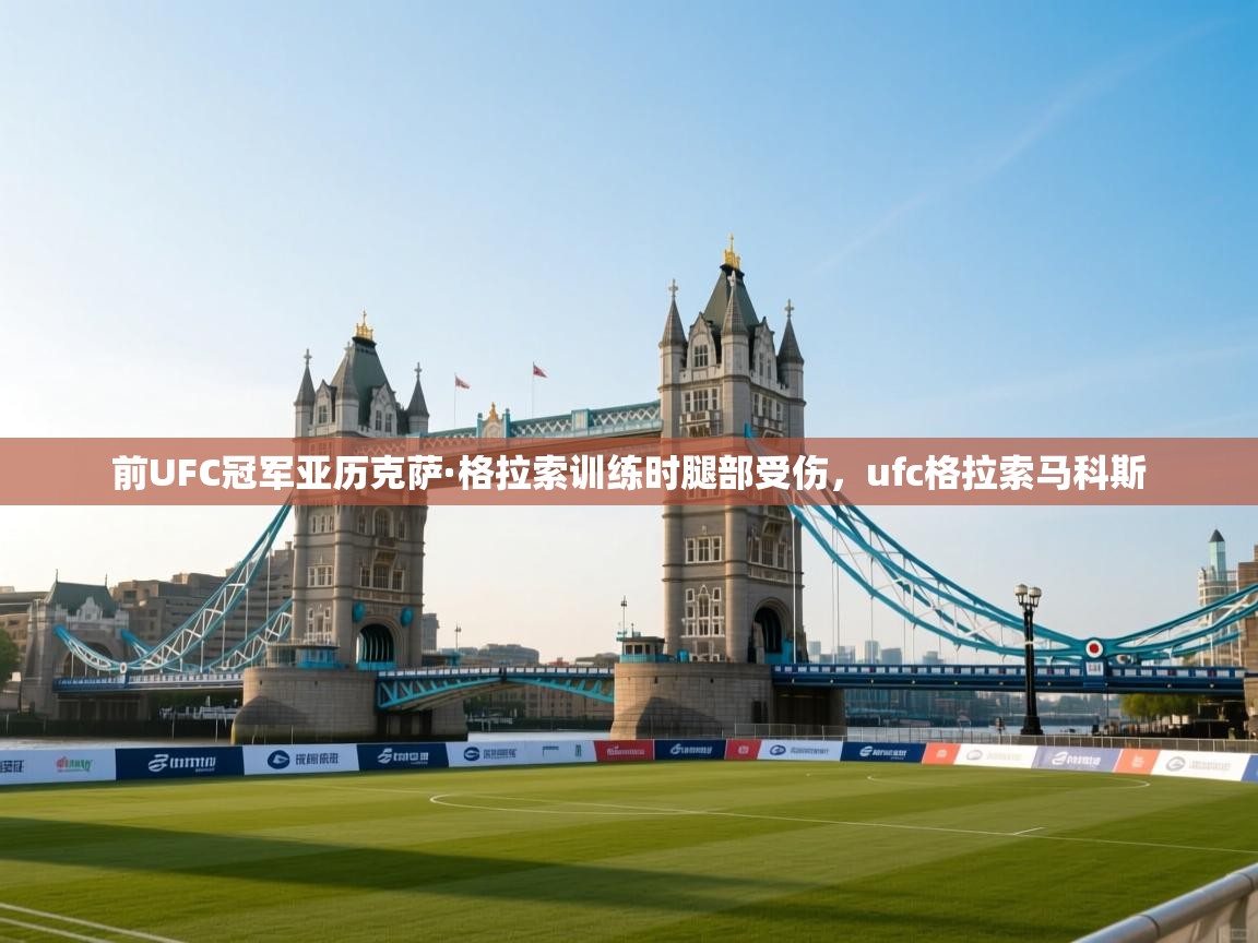前UFC冠军亚历克萨·格拉索训练时腿部受伤,ufc格拉索马科斯 第1张